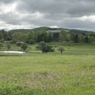 IMG_5626.jpeg