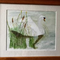 IMG_0390[37771].jpg