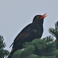 IMG_8828(1).JPG