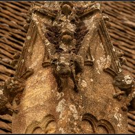 animal gargoyles 5 halved..jpg