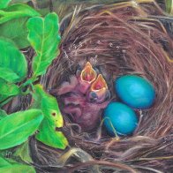 094 - Robins' Nest small WM.jpg