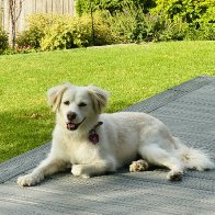 IMG_2101.jpeg