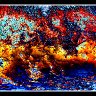 Wild Waves