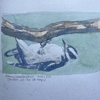 IMG_2098.jpeg