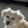 IMG_8715