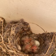 IMG_9361.jpeg