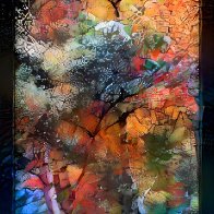 IMG_5117.jpeg