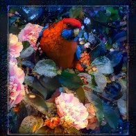 IMG_5118.jpeg