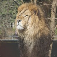 IMG_2892.jpeg