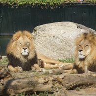 IMG_2893.jpeg