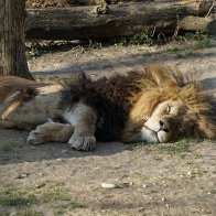 IMG_2897.jpeg