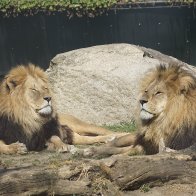 IMG_2894.jpeg