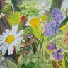 Wildflowers