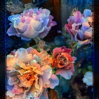 IMG_5168.jpeg