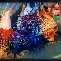 IMG_5158.jpeg