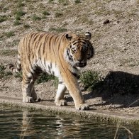 IMG_2895.jpeg