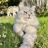 IMG_2899.jpeg