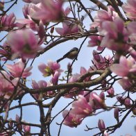 _DSC0165.jpeg