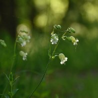 _DSC0179.jpeg