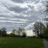 IMG_8756.JPG