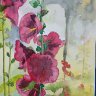 Hollyhocks