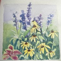 IMG_2115.jpeg