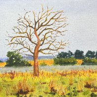IMG_2566.jpeg
