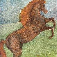 IMG_3924.jpeg