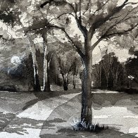 TaHaZouka Cottonwoods.JPG