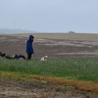 DSC_0698.JPG