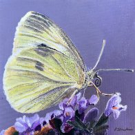 IMG_1311.jpeg