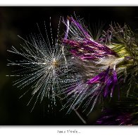 D7500_48471-Edit-Edit.jpg