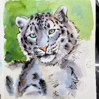 IMG_6474.jpeg