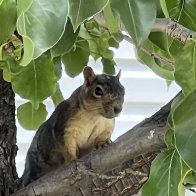 IMG_4581.jpeg