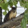 IMG_4580