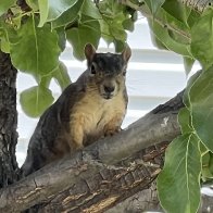 IMG_4580.jpeg