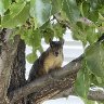 IMG_4579