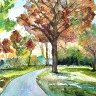 Trees and Path