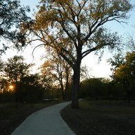 Arlene's Photos - TaHa Walk.JPG