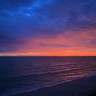 IMG_2935.jpeg