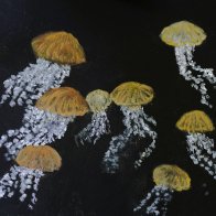 Jellies065.JPG
