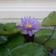 IMG_2545.jpeg