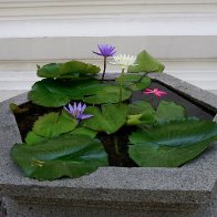 IMG_2544.jpeg