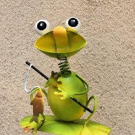 Fisherfrog.jpg