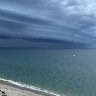Amazing shelf cloud with white ibis flying by 