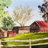 Barn and Apple Tree