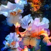 IMG_5414.jpeg