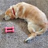 It was a Long Day