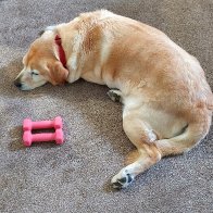 Exhausted.jpg