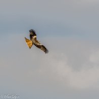D7500_16152-Edit.jpg